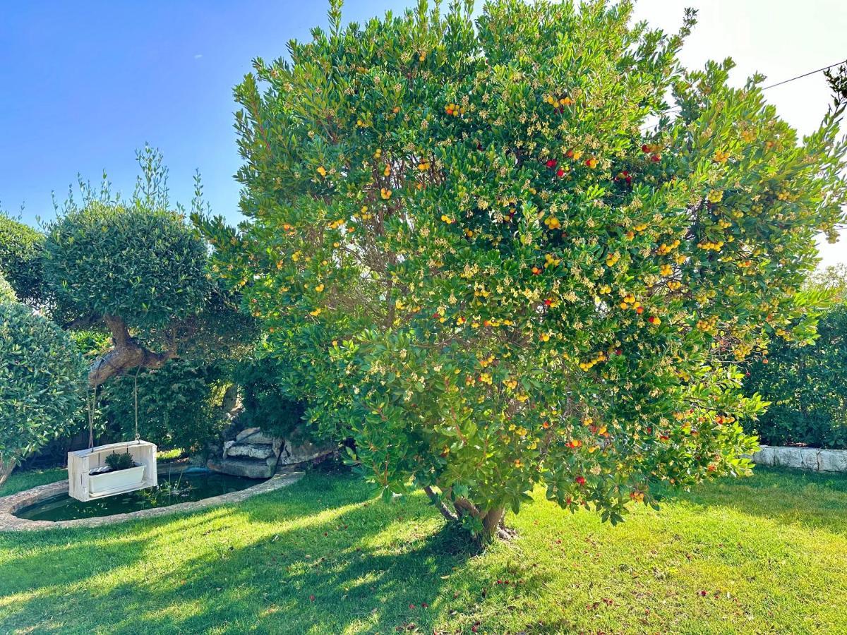 Villa Trullo Il Carrubo Alberobello Exterior foto